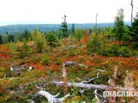 grachikoff-club-kareliya-850-531-03.jpg