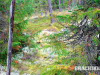 grachikoff-club-kareliya-850-531-04.jpg