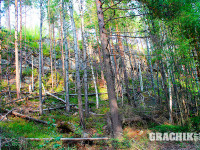 grachikoff-club-kareliya-850-531-06.jpg