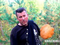 grachikoff-club-kareliya-850-531-07.jpg