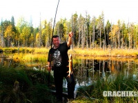 grachikoff-club-kareliya-850-531-09.jpg