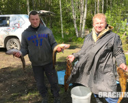 Карельский отдых