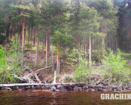 Карельский отдых