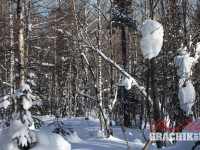 grachikoff-club-katav-ivanovsk-850-531-02.jpg