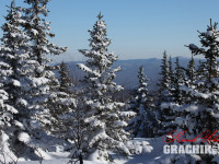 grachikoff-club-katav-ivanovsk-850-531-03.jpg