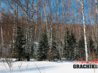 grachikoff-club-katav-ivanovsk-mart-2-850-531-16.jpg