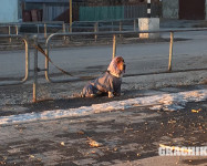 Закрытие сезона 2015. Южный Урал.