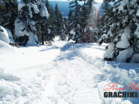 grachikoff-club-poezdka-na-shalom-850-531-01.jpg