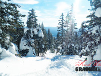 grachikoff-club-poezdka-na-shalom-850-531-04.jpg
