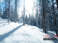 grachikoff-club-poezdka-na-shalom-850-531-12.jpg