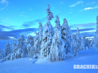 grachikoff-club-severniy-ural-850-531-38.jpg