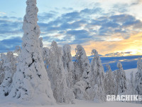grachikoff-club-severniy-ural-850-531-53.jpg
