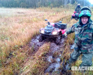 Синявинские болота в ЛО