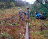 Синявинские болота в ЛО