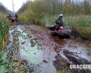Синявинские болота в ЛО