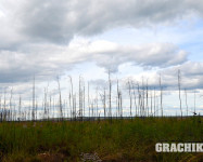 Grachikoff club на Северном Урале