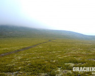 Grachikoff club на Северном Урале