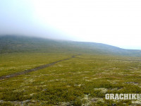 grachikoff-club-ural-850-531-145.jpg