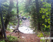 Grachikoff club на Северном Урале
