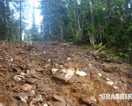 Grachikoff club на Северном Урале