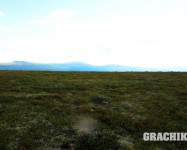 Grachikoff club на Северном Урале