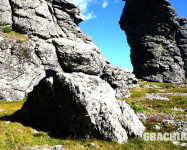 Grachikoff club на Северном Урале