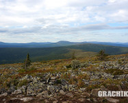 Grachikoff club на Северном Урале