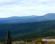 Grachikoff club на Северном Урале
