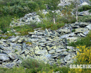 Grachikoff club на Северном Урале