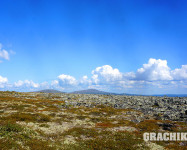 Grachikoff club на Северном Урале