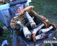 Grachikoff club на Северном Урале