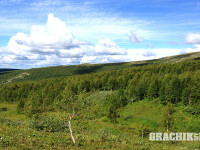 grachikoff-club-ural-850-531-333.jpg