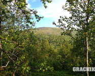 Grachikoff club на Северном Урале