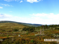 grachikoff-club-ural-850-531-364.jpg