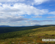 Grachikoff club на Северном Урале