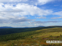 grachikoff-club-ural-850-531-367.jpg