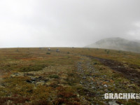 grachikoff-club-ural2015-dim-850-531-002.jpg