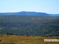 grachikoff-club-ural2015-dim-850-531-067.jpg
