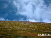 grachikoff-club-vidi-urala-850-531-017.jpg