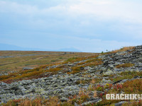 grachikoff-club-vidi-urala-850-531-074.jpg