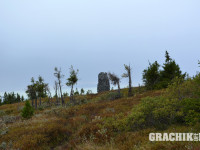 grachikoff-club-vidi-urala-850-531-167.jpg
