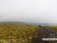 grachikoff-club-vidi-urala-850-531-212.jpg