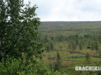 grachikoff-club-vidi-urala-850-531-231.jpg