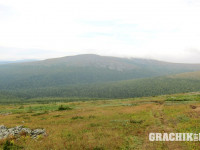 grachikoff-club-vidi-urala-850-531-234.jpg