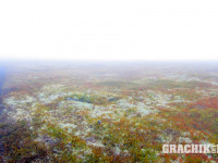 grachikoff-club-vidi-urala-850-531-244.jpg