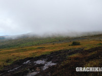 grachikoff-club-vidi-urala-850-531-267.jpg