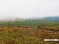 grachikoff-club-vidi-urala-850-531-292.jpg