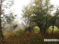 grachikoff-club-vidi-urala-850-531-298.jpg
