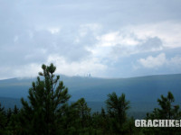 grachikoff-club-vidi-urala-850-531-327.jpg
