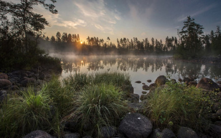 LADOGA FOREST LADOGA FOREST